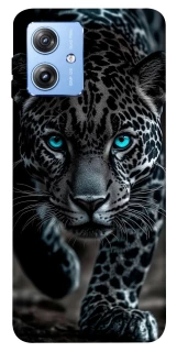 Чехол на Motorola Moto G84 blue eye leo фото 1 из 1