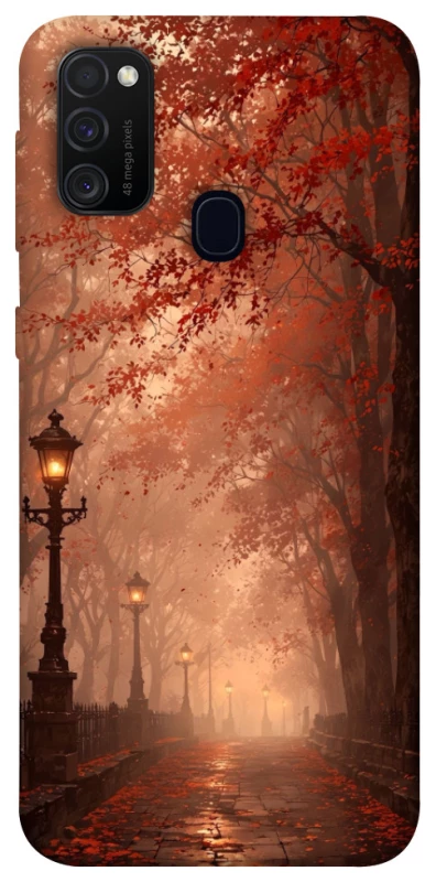 Чохол на Samsung Galaxy M30s / M21 boulevard фото 1 з 1