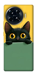 Чехол на TECNO Spark 20 Pro+ Black cat v2 фото 1 из 1