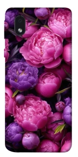 Чохол на Samsung Galaxy M01 Core / A01 Core Garden2 фото 1 з 1