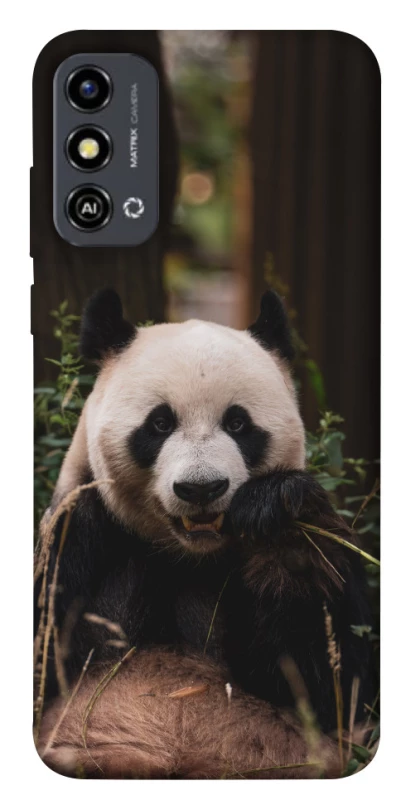 Чохол на ZTE Blade A53 Панда фото 1 з 1