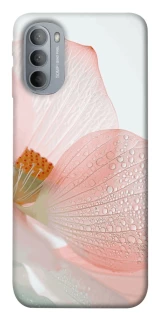 Чехол на Motorola Moto G31 Flowers zon фото 1 из 1