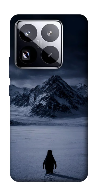 Чехол на Xiaomi 15 Pro But why? фото 1 из 1