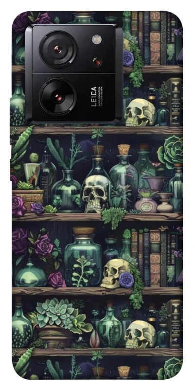 Чохол на Xiaomi 13T Pro Bookshelf ver.1 фото 1 з 1