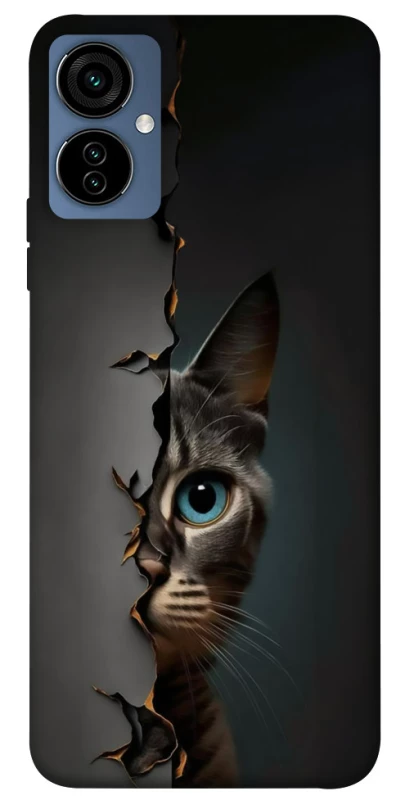 Чехол на TECNO Camon 19 Neo Кот-подглядыватель v2 фото 1 из 1