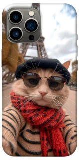 Чехол на Apple iPhone 12 Pro Max (6.7") catparis фото 1 из 1