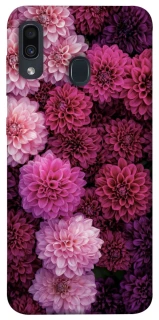 Чохол на Samsung Galaxy A20 / A30 Garden1 фото 1 з 1