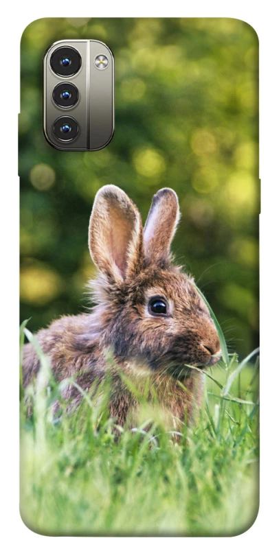 Чехол на Nokia G11 Кролики фото 1 из 1