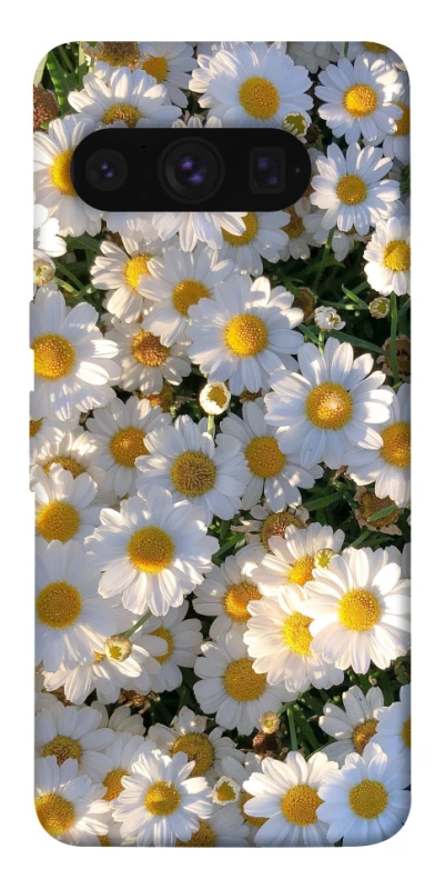 Чехол на Google Pixel 8 Pro Поле ромашек фото 1 из 1