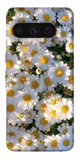 Чехол на Google Pixel 8 Pro Поле ромашек фото 1 из 1
