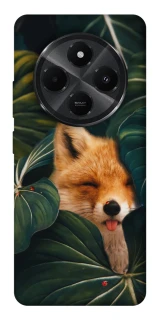 Чехол на Xiaomi Poco M7 Fox фото 1 из 1