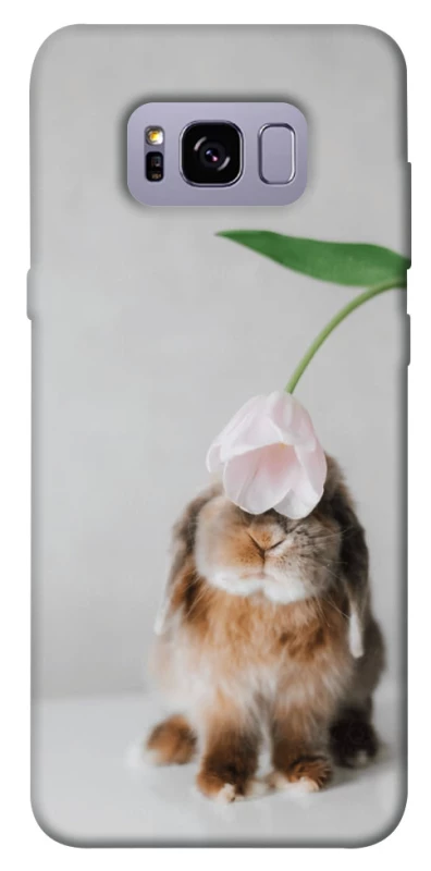 Чехол на Samsung G955 Galaxy S8 Plus Bunny фото 1 из 1