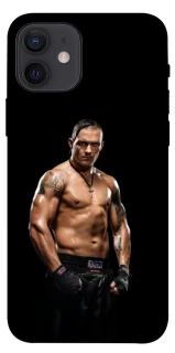 Чехол на Apple iPhone 12 (6.1") usik фото 1 из 1