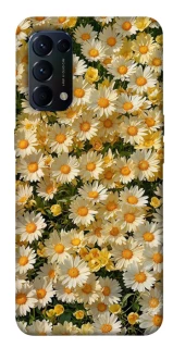 Чехол на Oppo Reno 5 4G Camomile фото 1 из 1
