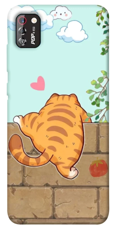 Чохол на TECNO POP 4 Pro Cat the meow фото 1 з 1