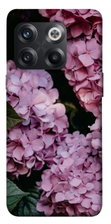 Чохол на OnePlus 10T Рожеві гартензії фото 1 з 1