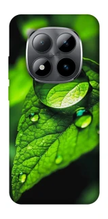 Чохол на Xiaomi Redmi Note 15 Pro 5G Flowers v16 фото 1 з 1