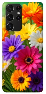 Чохол на Samsung Galaxy S21 Ultra Flowers v32 фото 1 з 1