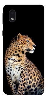 Чохол на Samsung Galaxy M01 Core / A01 Core Leopard v2 фото 1 з 1
