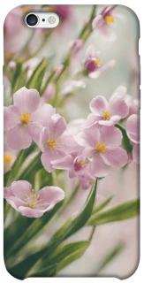 Чехол на Apple iPhone 6/6s (4.7") Spring фото 1 из 1