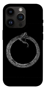 Чохол на Apple iPhone 14 Pro (6.1") Ouroboros фото 1 з 1