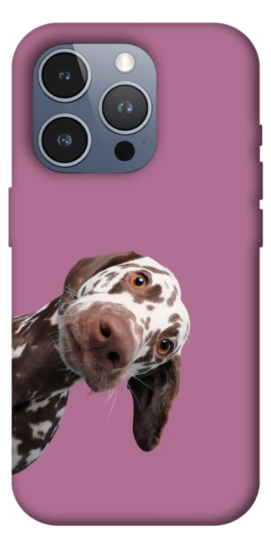 Чохол на Apple iPhone 16 Pro Max А що тут фото 1 з 1