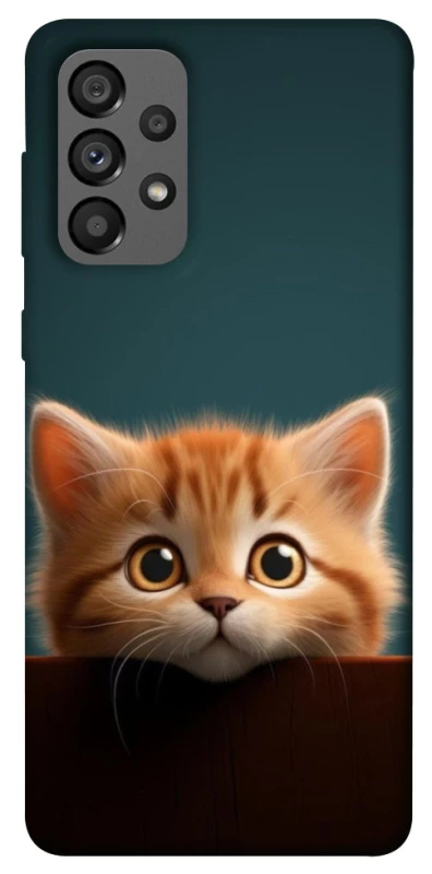 Чохол на Samsung Galaxy A73 5G Чохол Кошеня фото 1 з 1