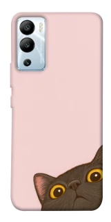 Чехол на Infinix Hot 12i Peeping cat фото 1 из 1