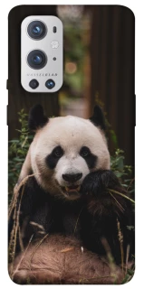 Чехол на OnePlus 9 Pro Панда фото 1 из 1