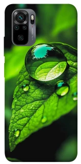 Чохол на Xiaomi Redmi Note 10 / Note 10s Flowers v16 фото 1 з 1