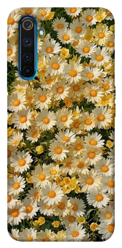 Чохол на Realme 6 Pro Camomile фото 1 з 1