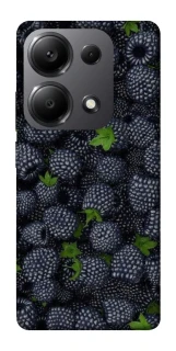 Чохол на Xiaomi Redmi Note 13 Pro 4G Fresh фото 1 з 1