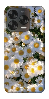 Чехол на ZTE Blade V70 Design Поле ромашек фото 1 из 2