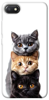 Чохол на Xiaomi Redmi 6A Гарні котики фото 1 з 1
