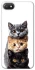 Чохол на Xiaomi Redmi 6A Гарні котики фото 1 з 1