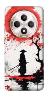 Чехол на Oppo Reno 12 F 4G/5G Дух Японии фото 1 из 1