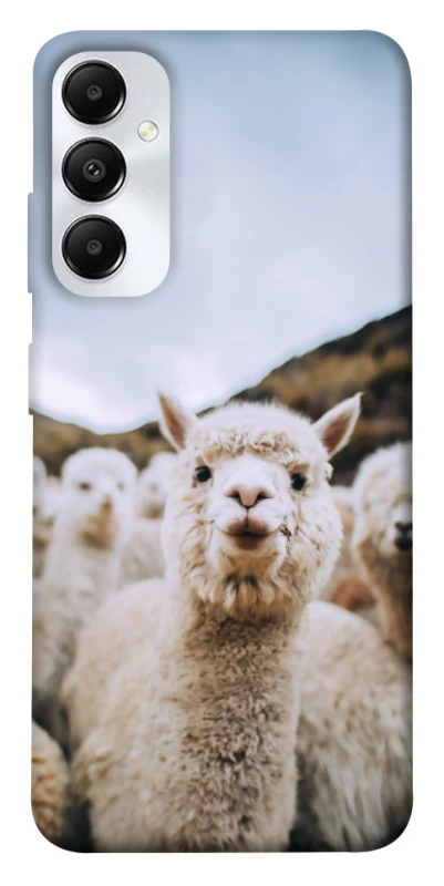 Чохол на Samsung Galaxy A05s Лама фото 1 з 1