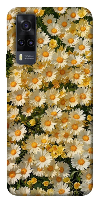 Чохол на Vivo Y31 Camomile фото 1 з 1