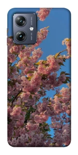 Чохол на Motorola Moto G54 Flowers v4 фото 1 Чохол на Motorola Moto G54 Flowers v4 фото 1 з 1