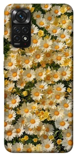 Чехол на Xiaomi Redmi Note 11 (Global) / Note 11S Camomile фото 1 из 1