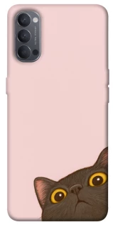 Чохол на Oppo Reno 4 Peeping cat фото 1 з 1