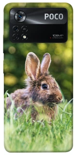 Чехол на Xiaomi Poco X4 Pro 5G Кролики фото 1 из 1
