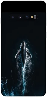Чехол на Samsung Galaxy S10 Whale фото 1 из 1
