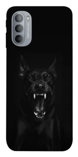 Чохол на Motorola Moto G31 Доберман фото 1 з 1
