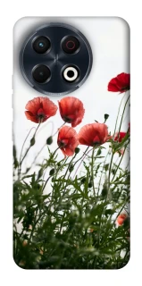 Чохол на TECNO Spark 30 Pro (KL7) Поле маків фото 1 з 1