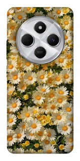 Чохол на Xiaomi Redmi 14C / Poco C75 Camomile фото 1 з 1