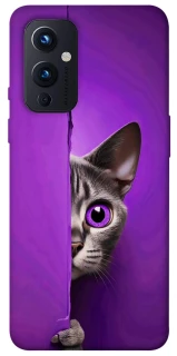 Чехол на OnePlus 9 Кот-подглядыватель фото 1 из 1