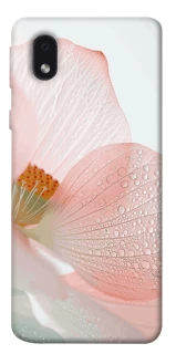 Чехол на Samsung Galaxy M01 Core / A01 Core Flowers zon фото 1 из 1