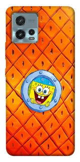 Чохол на Motorola Moto G72 Дім Спанч Боба фото 1 з 1