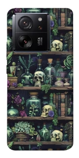 Чохол на Xiaomi 13T Bookshelf ver.1 фото 1 з 1